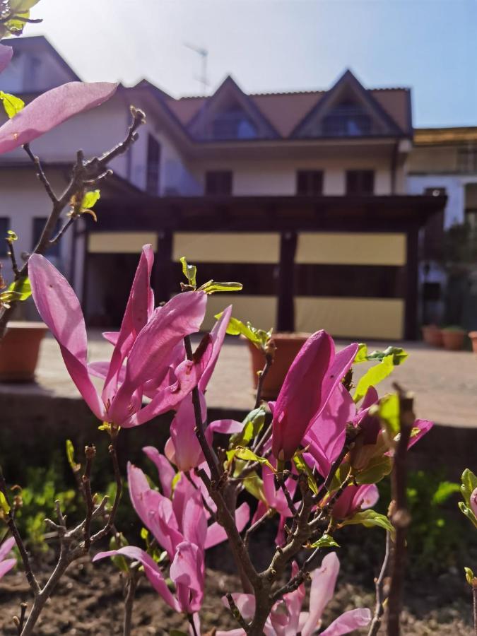 Hotel Edelweiss Laino Borgo Kültér fotó