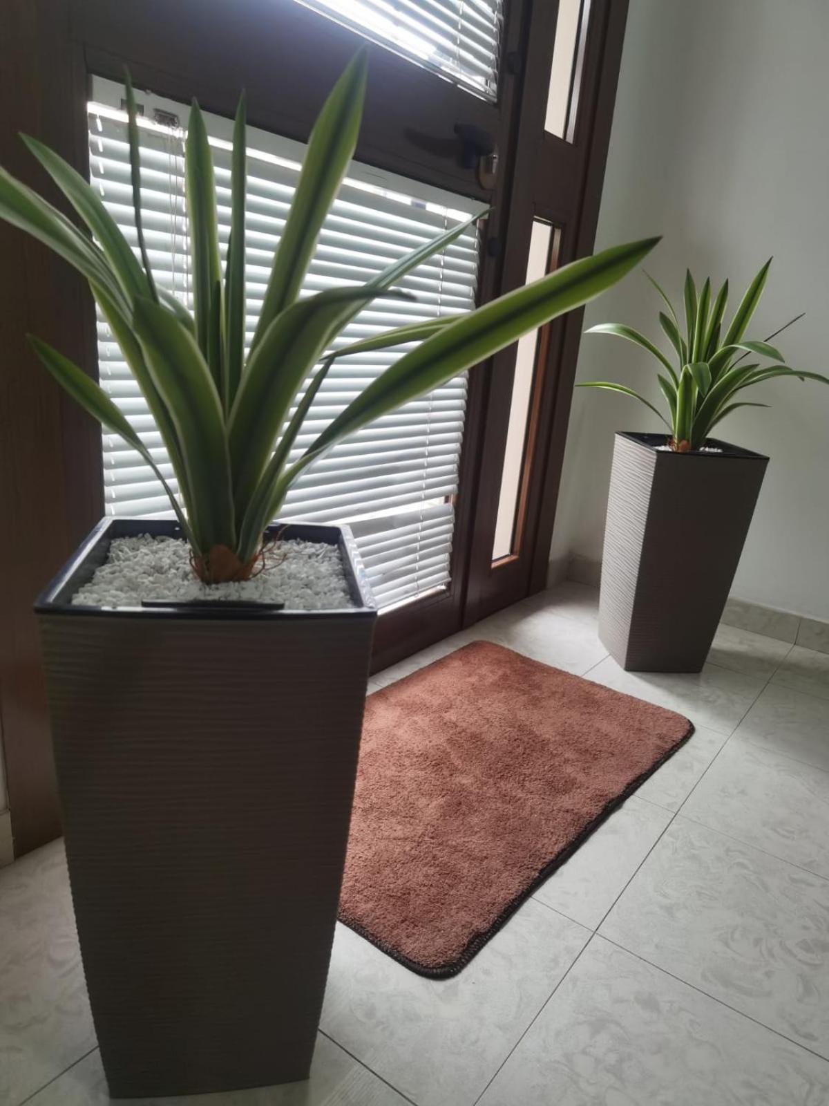 Hotel Edelweiss Laino Borgo Kültér fotó