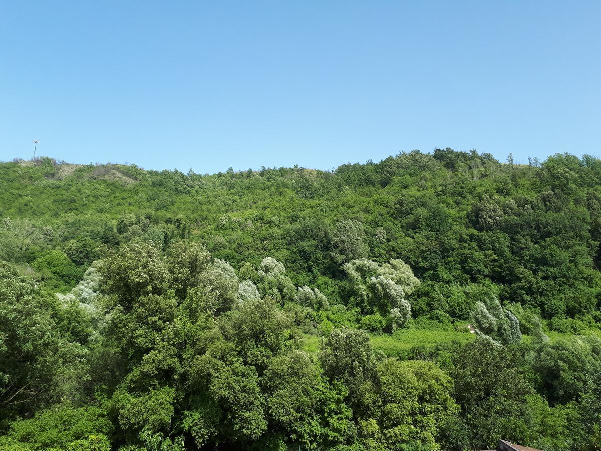 Hotel Edelweiss Laino Borgo Kültér fotó
